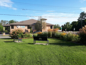 Front garden with benches and flowers at YMCA Brighton