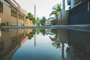 A quiet street with a large puddle reflecting houses, palm trees, and power lines under a clear sky.