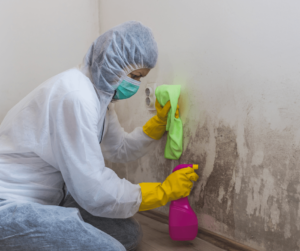 This picture shows a hazan worker cleaning mold in the wall