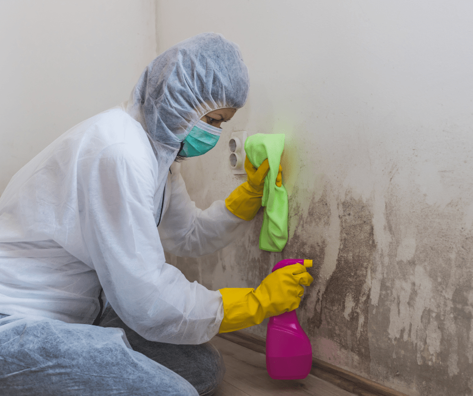 This picture shows a hazan worker cleaning mold in the wall