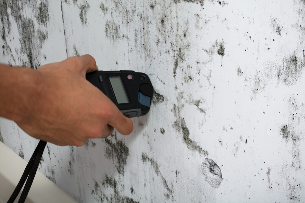 A hand holding a digital moisture meter against a wall with visible black mold patches.